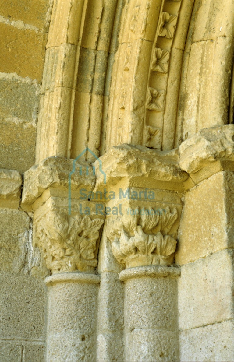 Capiteles del lado izquierdo de la portada occidental: motivos vegetales