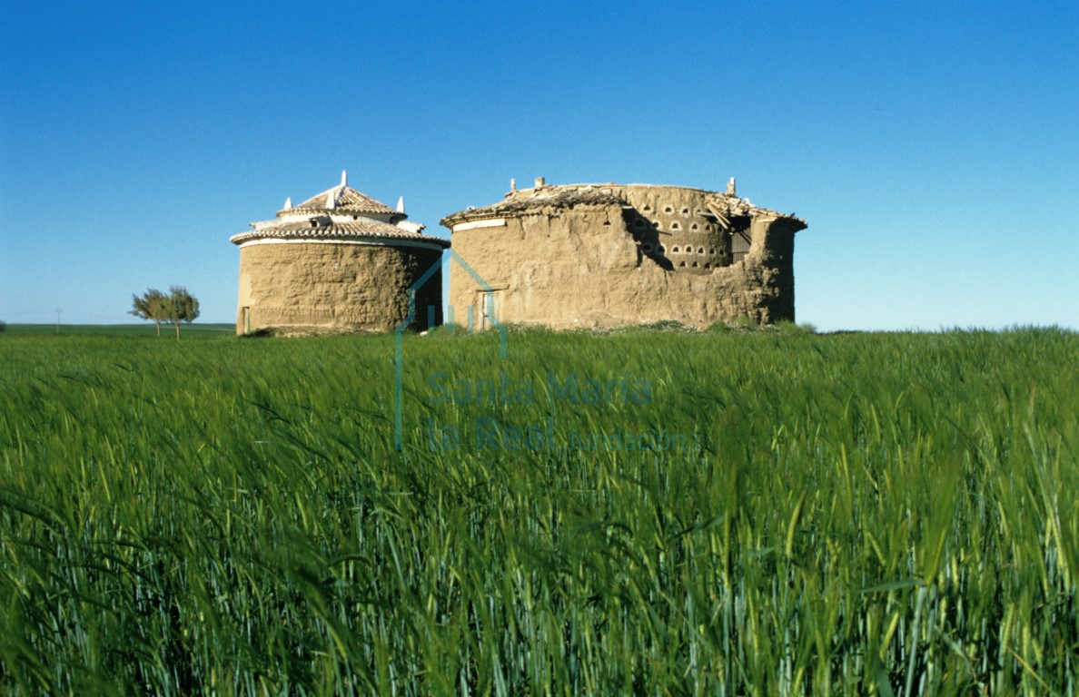 Vista general de dos palomares junto a la carretera de Villalón de Campos-Palencia