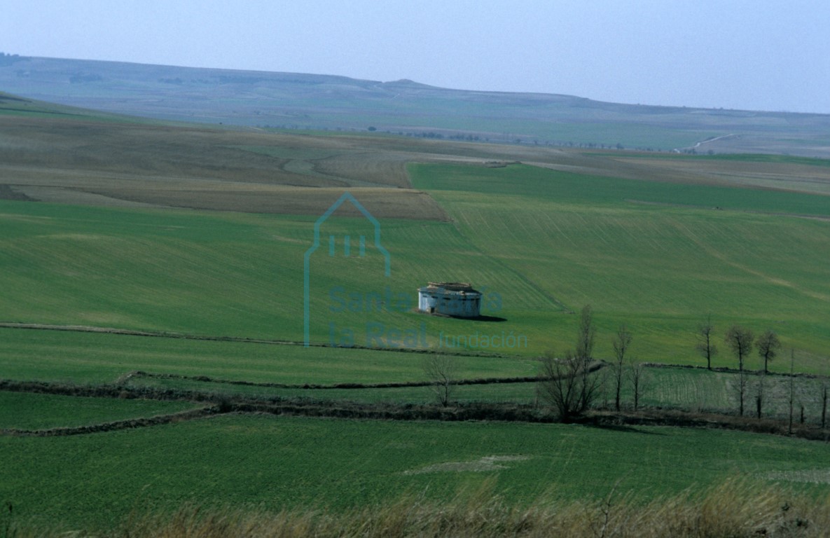 Vista general de un palomar en medio de un campo de cereales