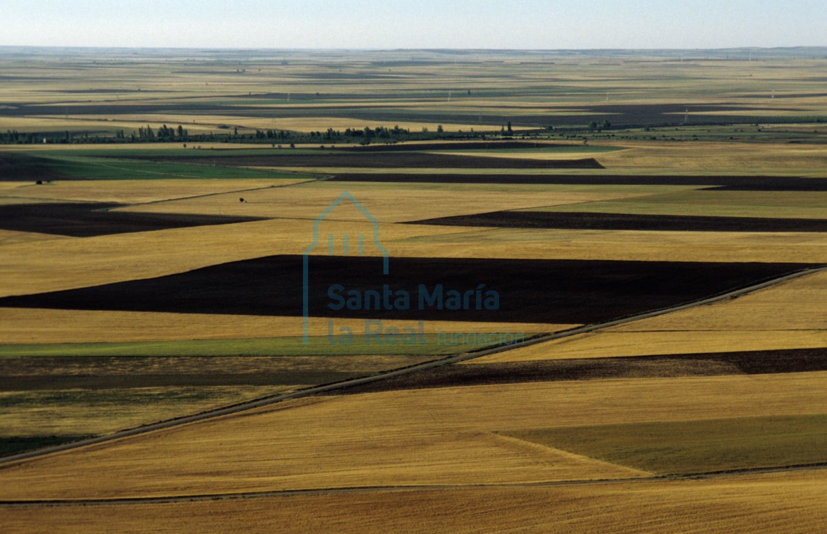 Paisaje, visto desde la muralla, de los campos próximos a Urueña