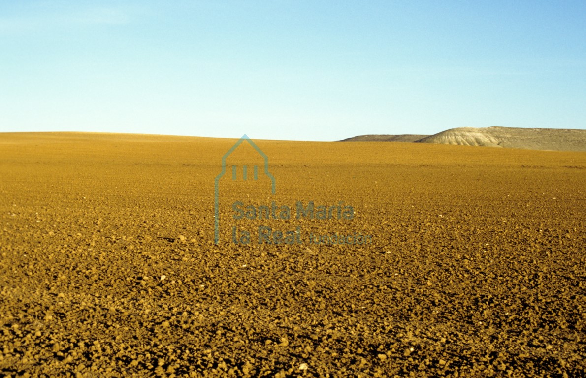 Paisaje: campo barbechado