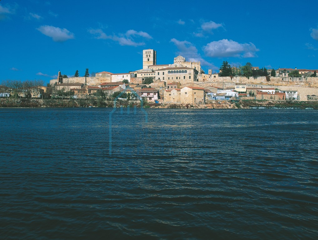 Zamora desde la orilla izquierda del río Duero