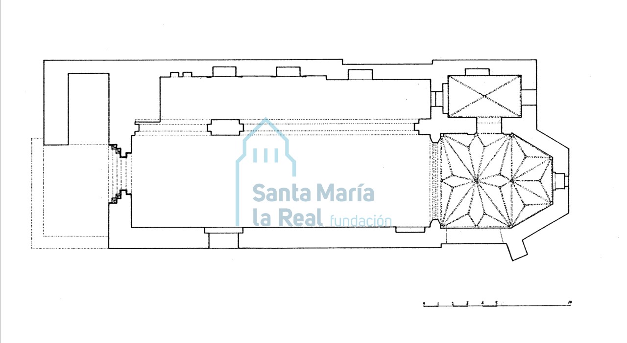 Planta