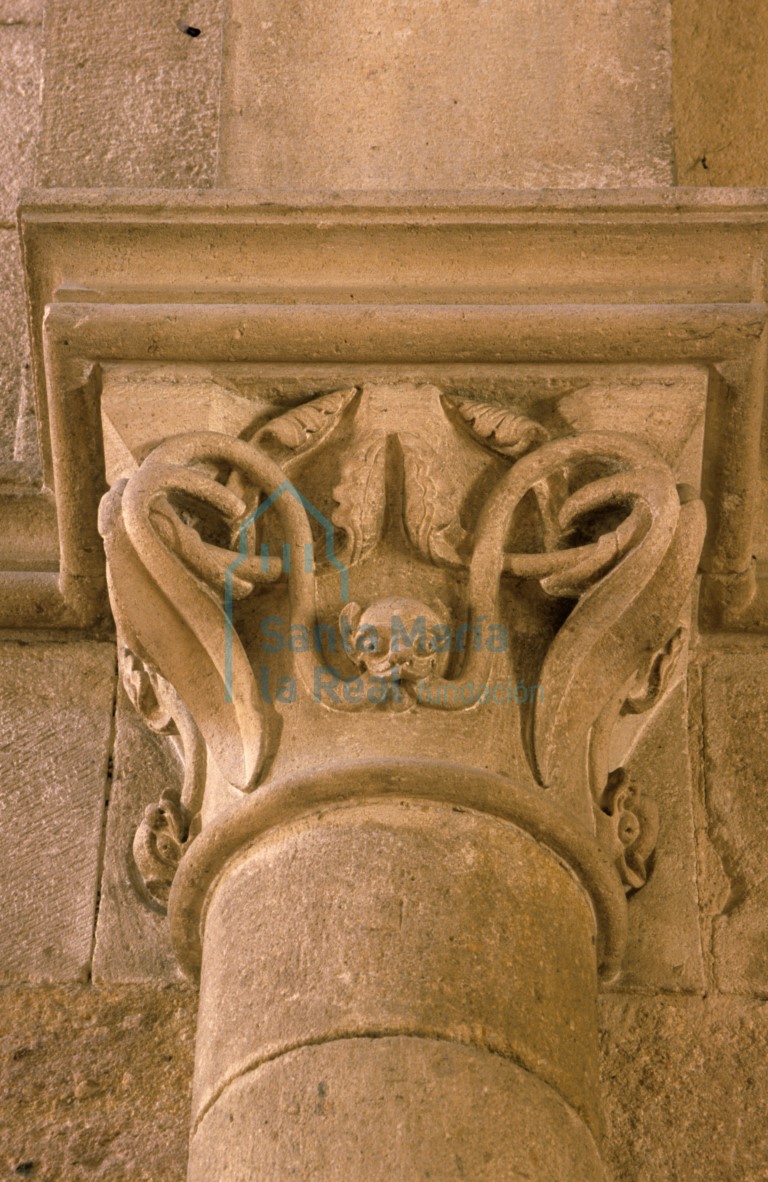 Capitel vegetal de la nave