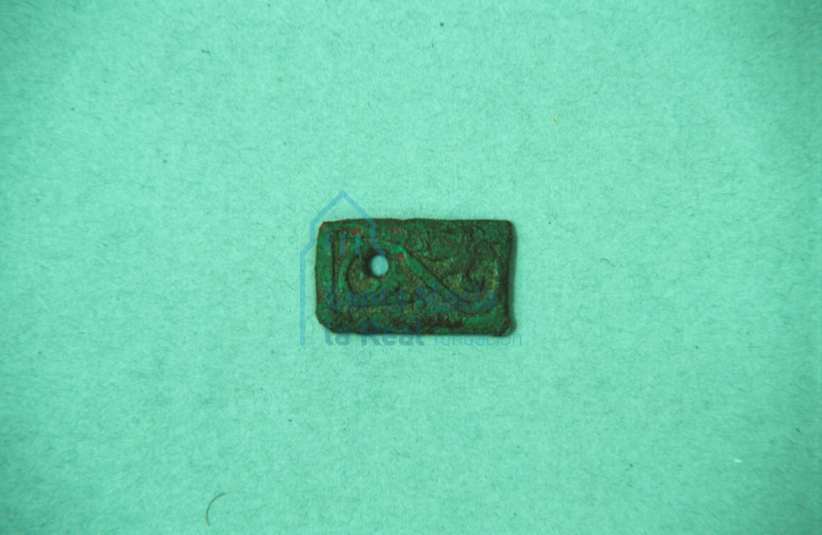 Placa de un correaje de espuela