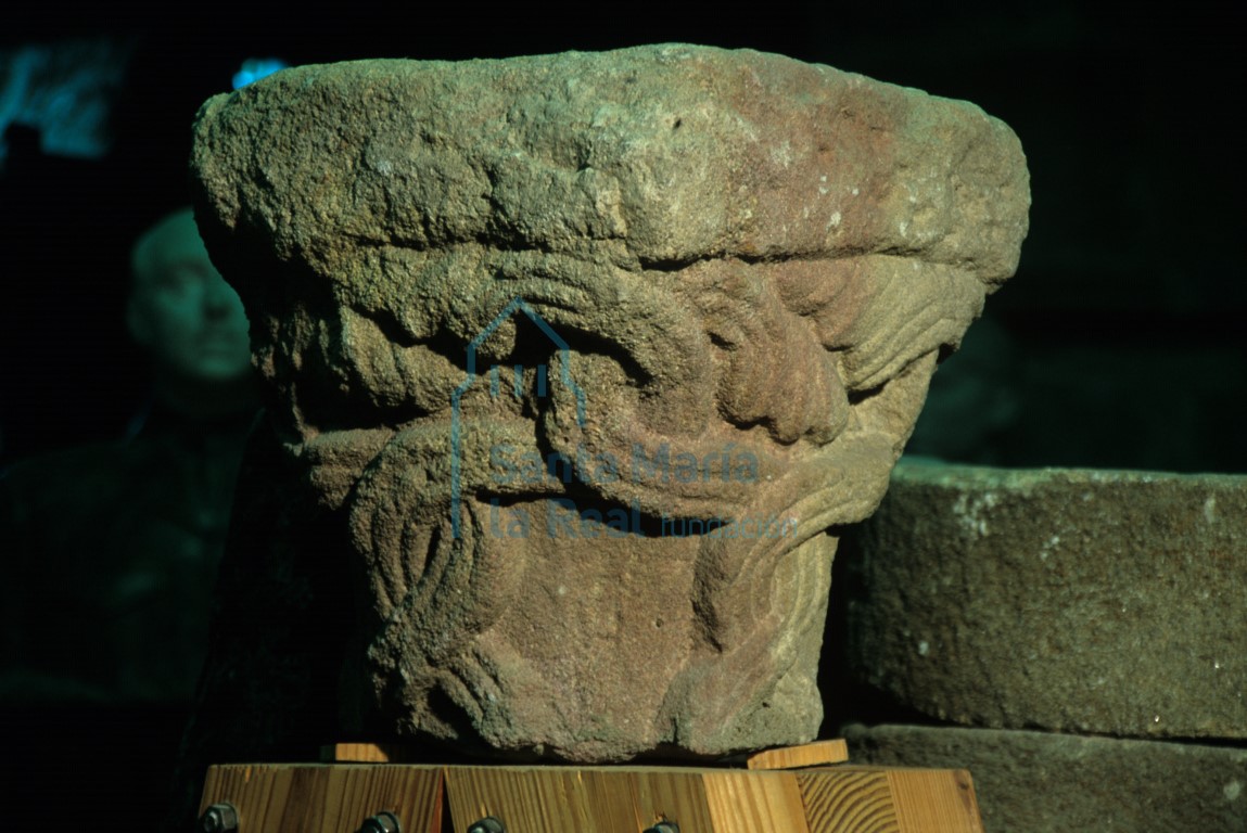 Capitel decorado con entrelazo de tallos tripartitos