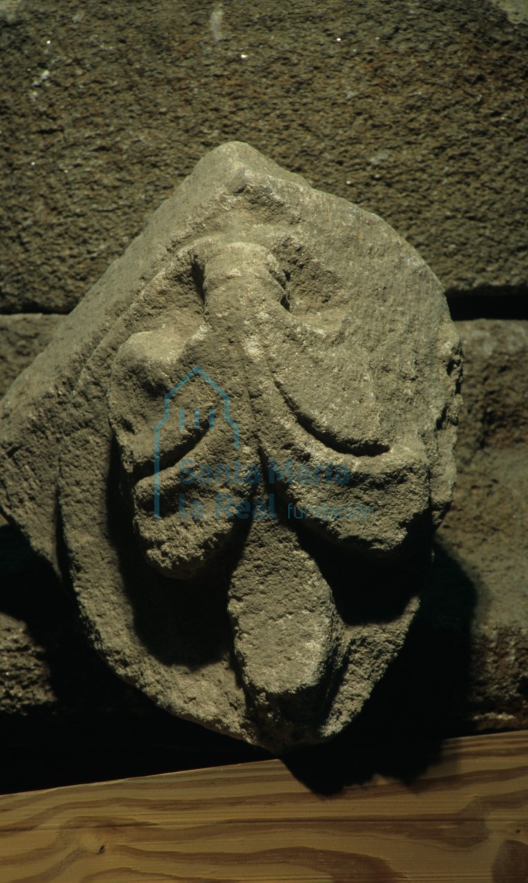 Fragmento de capitel. Palmeta invertida de cinco hojas