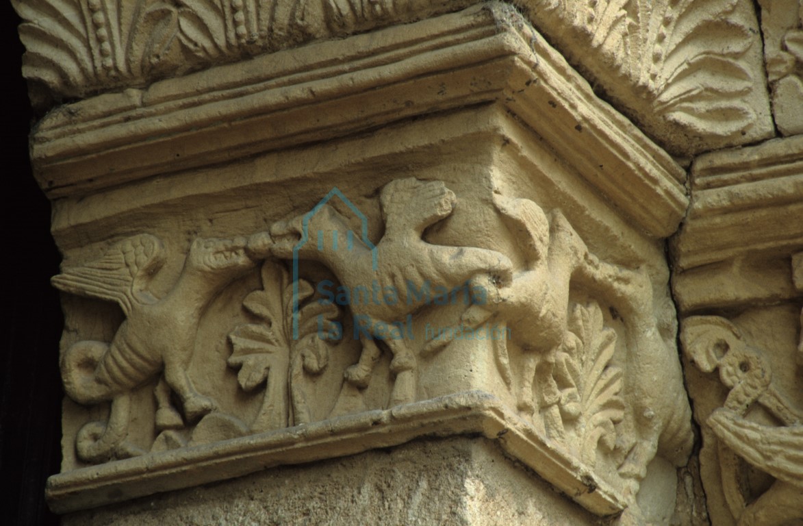 Detalle de un capitel de la portada meridional. Dragones afrontados