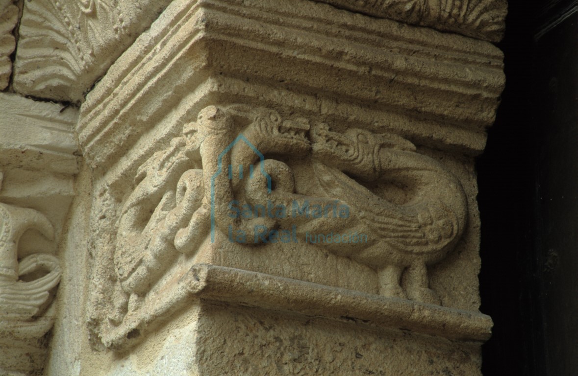 Detalle de un capitel de la portada meridional. Dragones afrontados