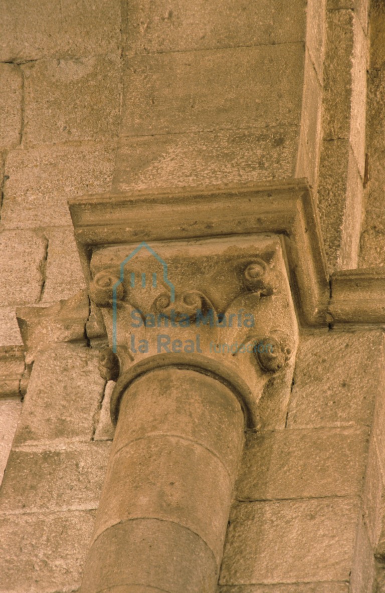 Capitel de la nave. Hojas lanceoladas lisas de puntas vueltas