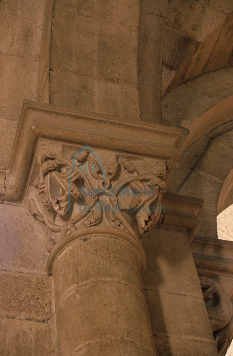 Capitel vegetal de la nave. Gruesos tallos incurvados y enredados que surgen de cabecitas de felino, de los que penden hojas carnosas a modo lengüetas