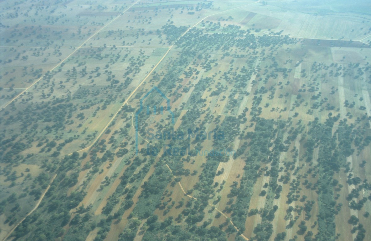Riberas del río Esla