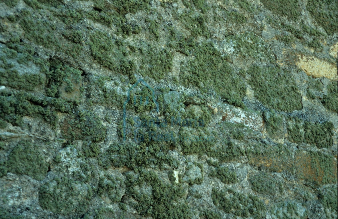 Detalle de la fachada septentrional