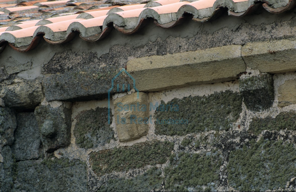 Detalle de los canes del muro septentrional