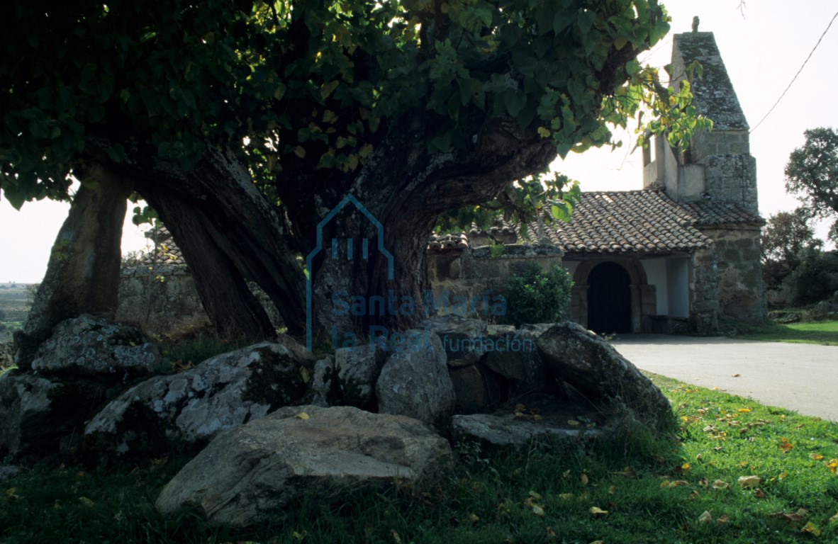 Vista de la iglesia desde el norte