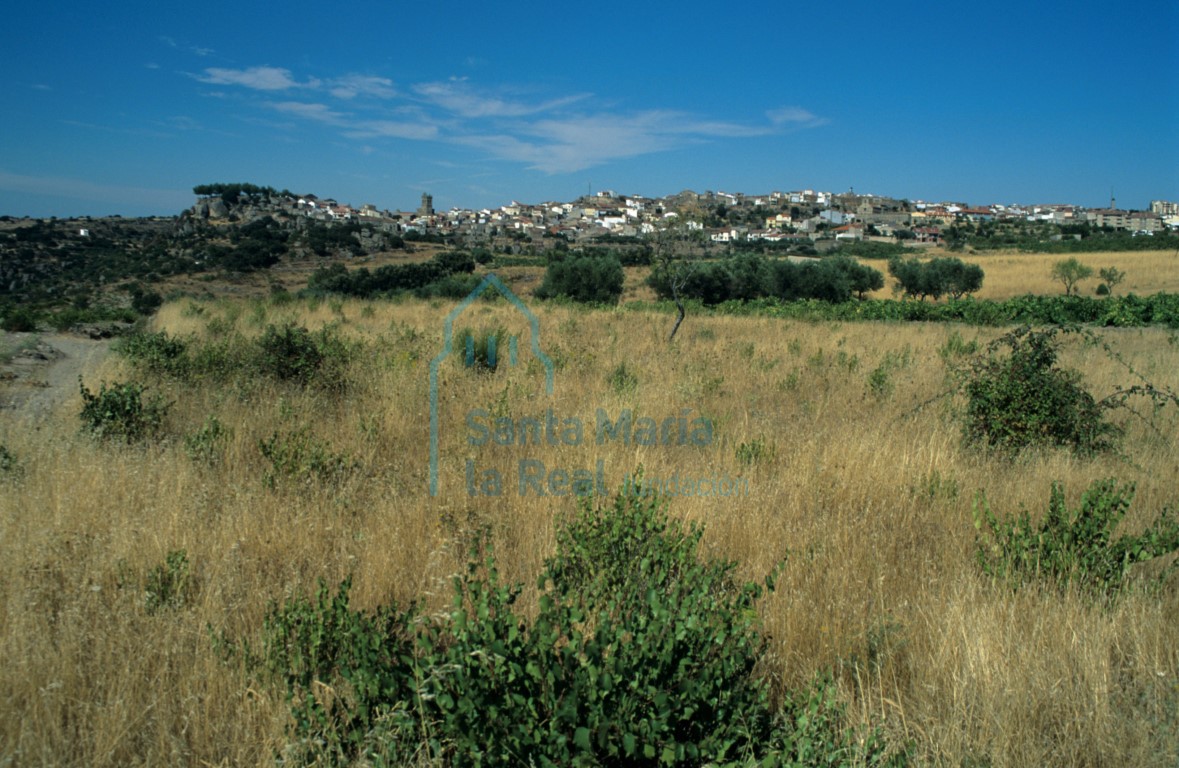 Vista general desde el sur
