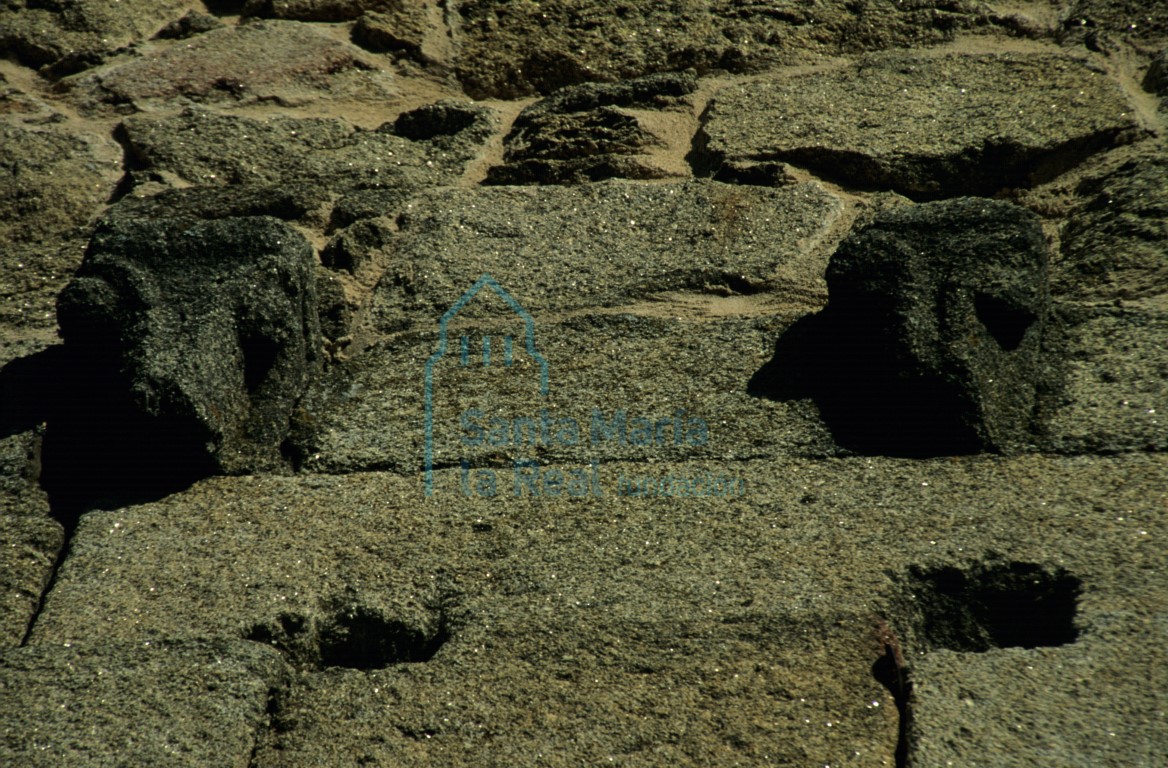 Detalle de dos canes en el muro meridional de la nave