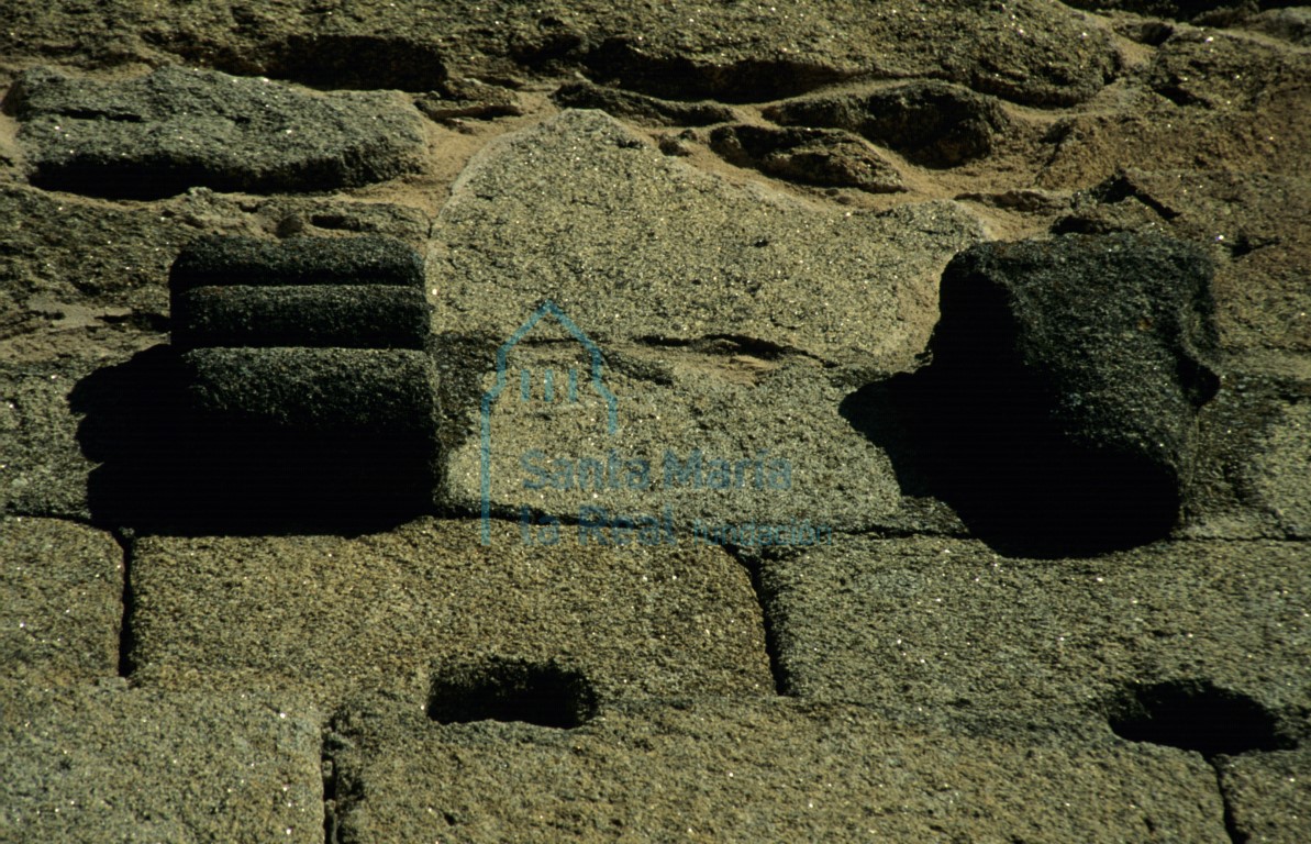 Detalle de dos canes en el muro meridional de la nave
