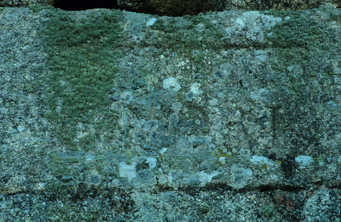 Deralle del muro