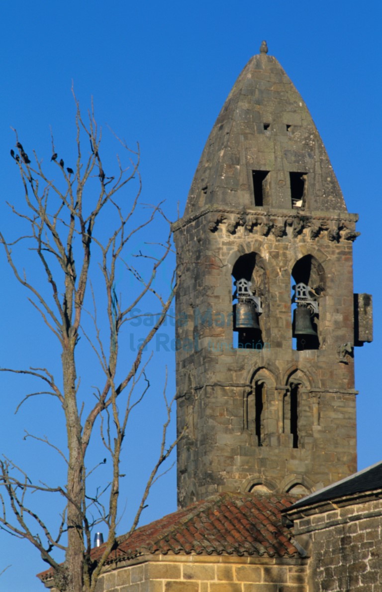 Torre Torre