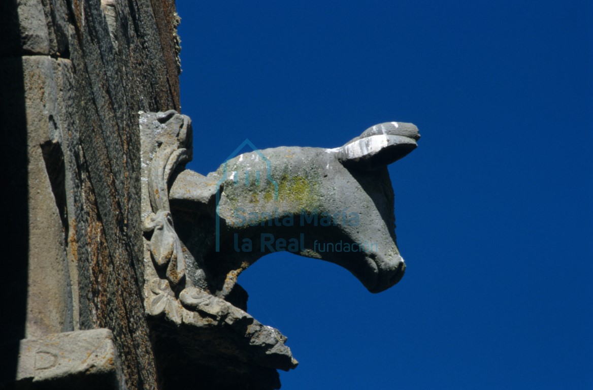 prótomo de bóvido en el exterior de la torre