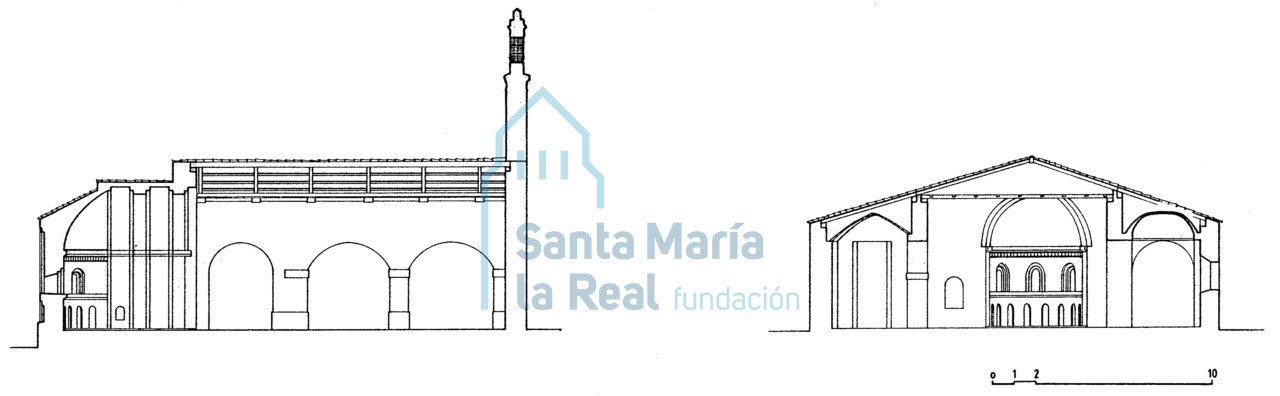 Sección longitudinal y sección transversal