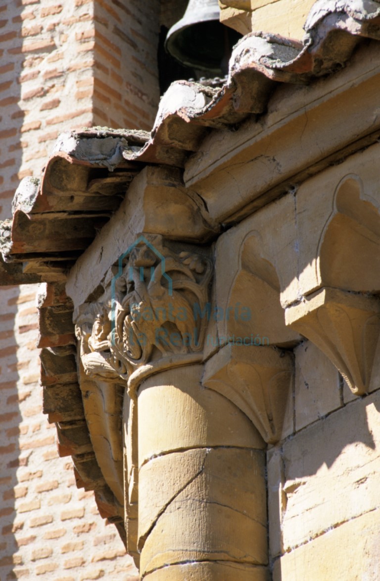Detalle de un capitel en el exterior de la cabecera de la nave central. Pareja de aves afrontadas de largos cuellos vueltos y remate vegetal en las colas enredadas en tallos y brotes