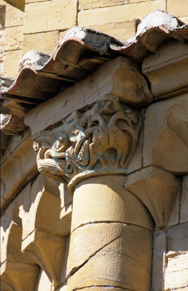 Detalle de un capitel en el exterior de la cabecera de la nave central. Pareja de aves afrontadas de largos cuellos vueltos y remate vegetal en las colas enredadas en tallos y brotes