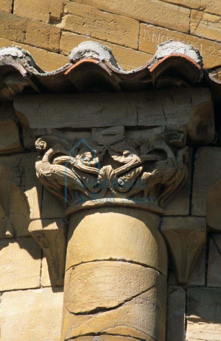 Detalle de un capitel en el exterior de la cabecera de la nave central. Pareja de aves afrontadas de largos cuellos vueltos y remate vegetal en las colas enredadas en tallos y brotes