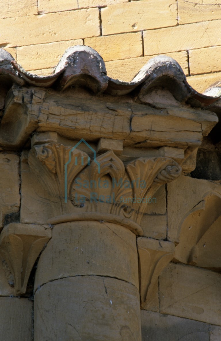 Detalle de un capitel en el exterior de la cabecera de la nave central. Decoración vegetal con palmetas y cogollos de marcadas nervaduras Detalle de un capitel en el exterior de la cabecera de la nave central. Decoración vegetal con palmetas y cogollos de marcadas nervaduras