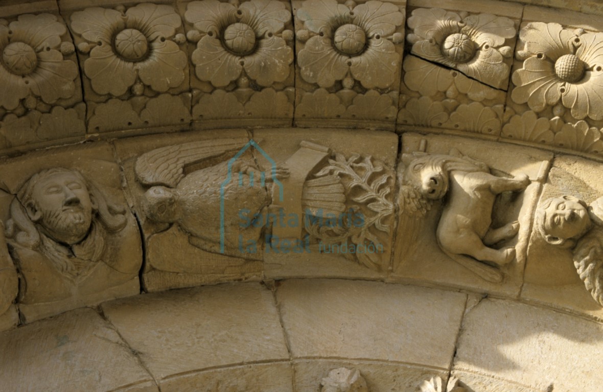 Detalle de las arquivoltas de la portada meridional del transepto. Decoración de tetrapétalas y parte del tetramorfos