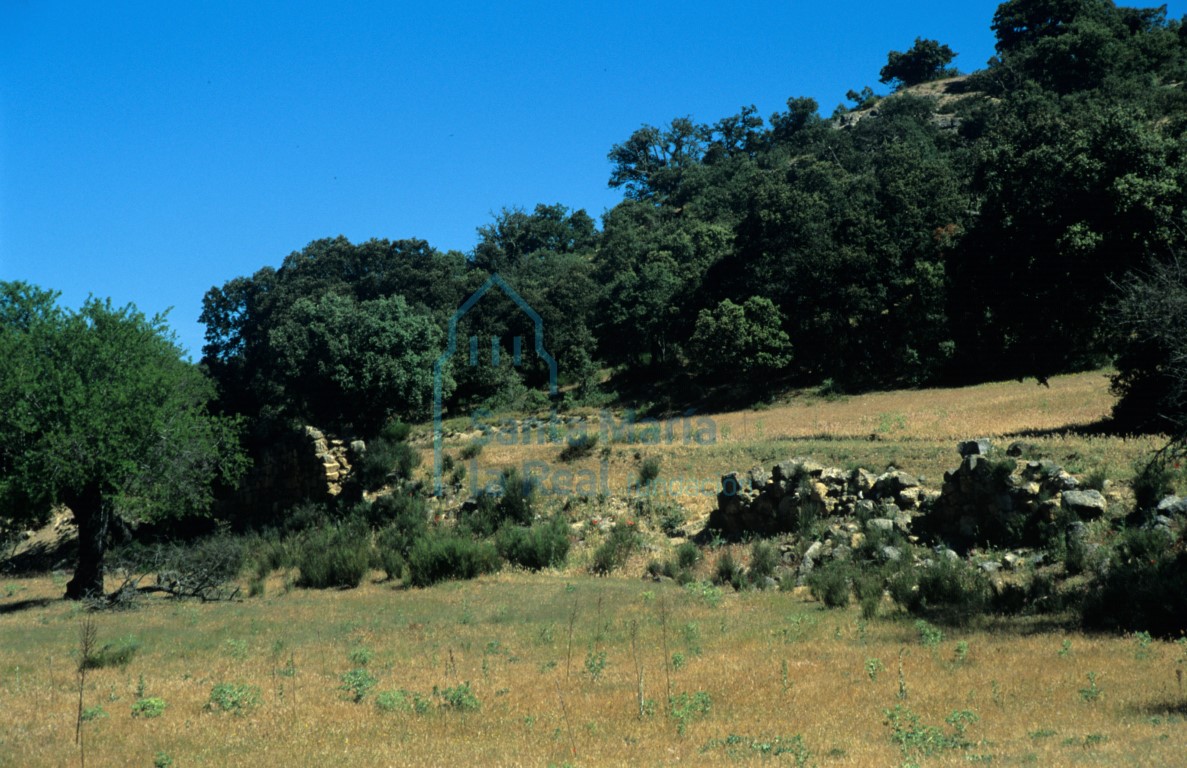 Restos del monasterio