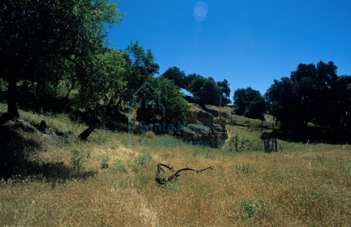 Restos del monasterio