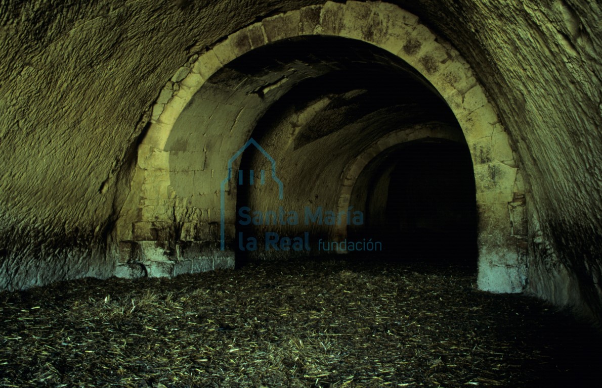 Restos del monasterio