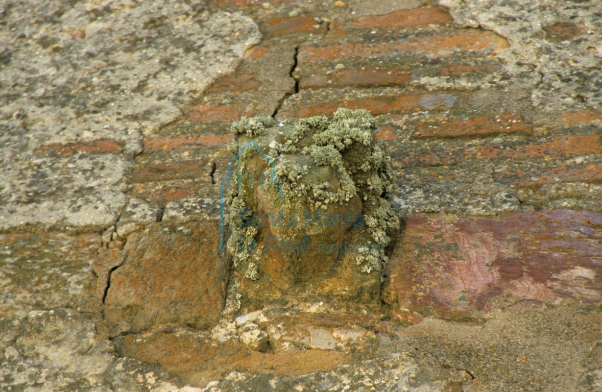 Detalle de un canecillo en el muro septentrional