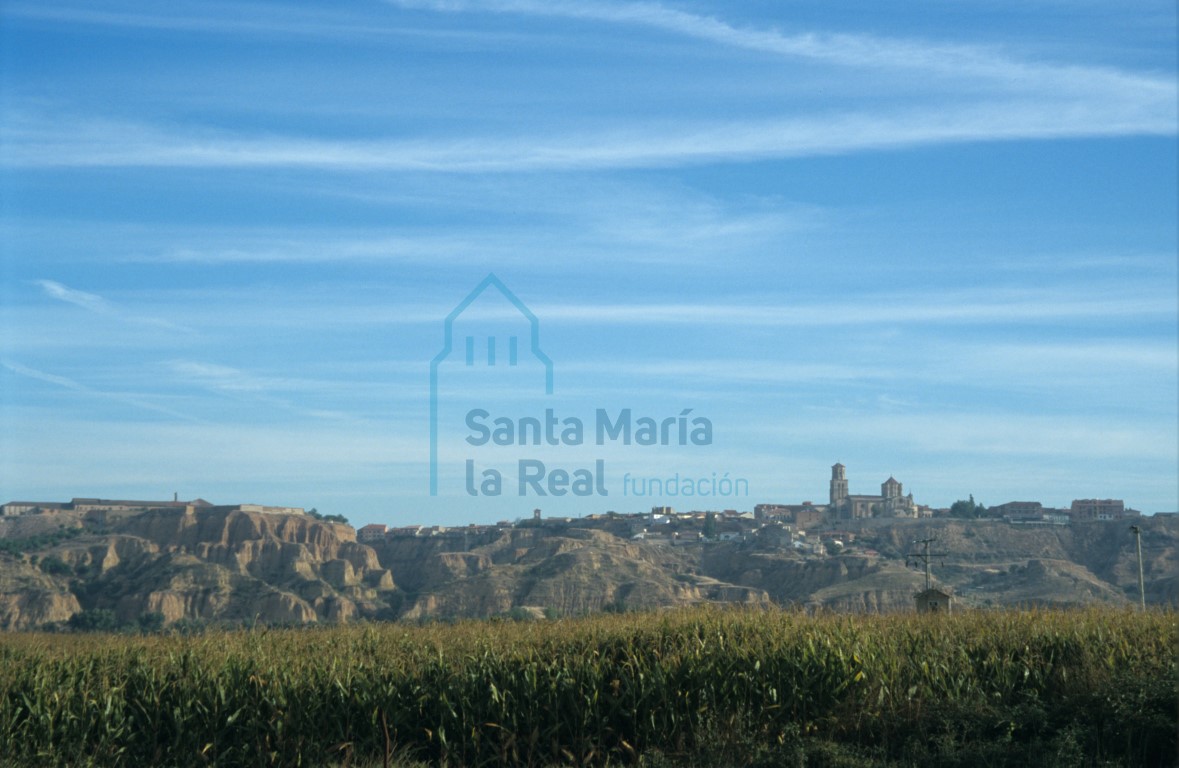 Panorámica de Toro