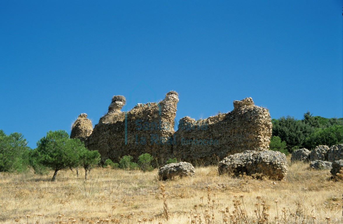 Restos de la muralla