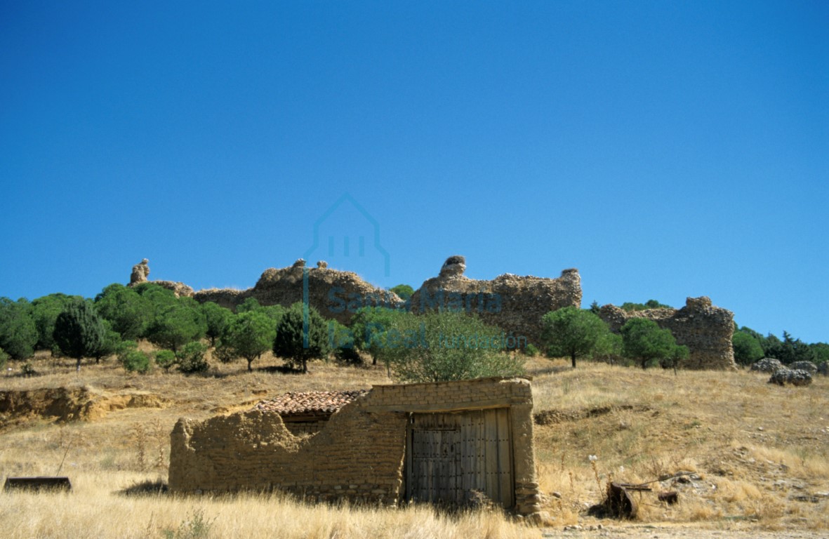 Restos de la muralla