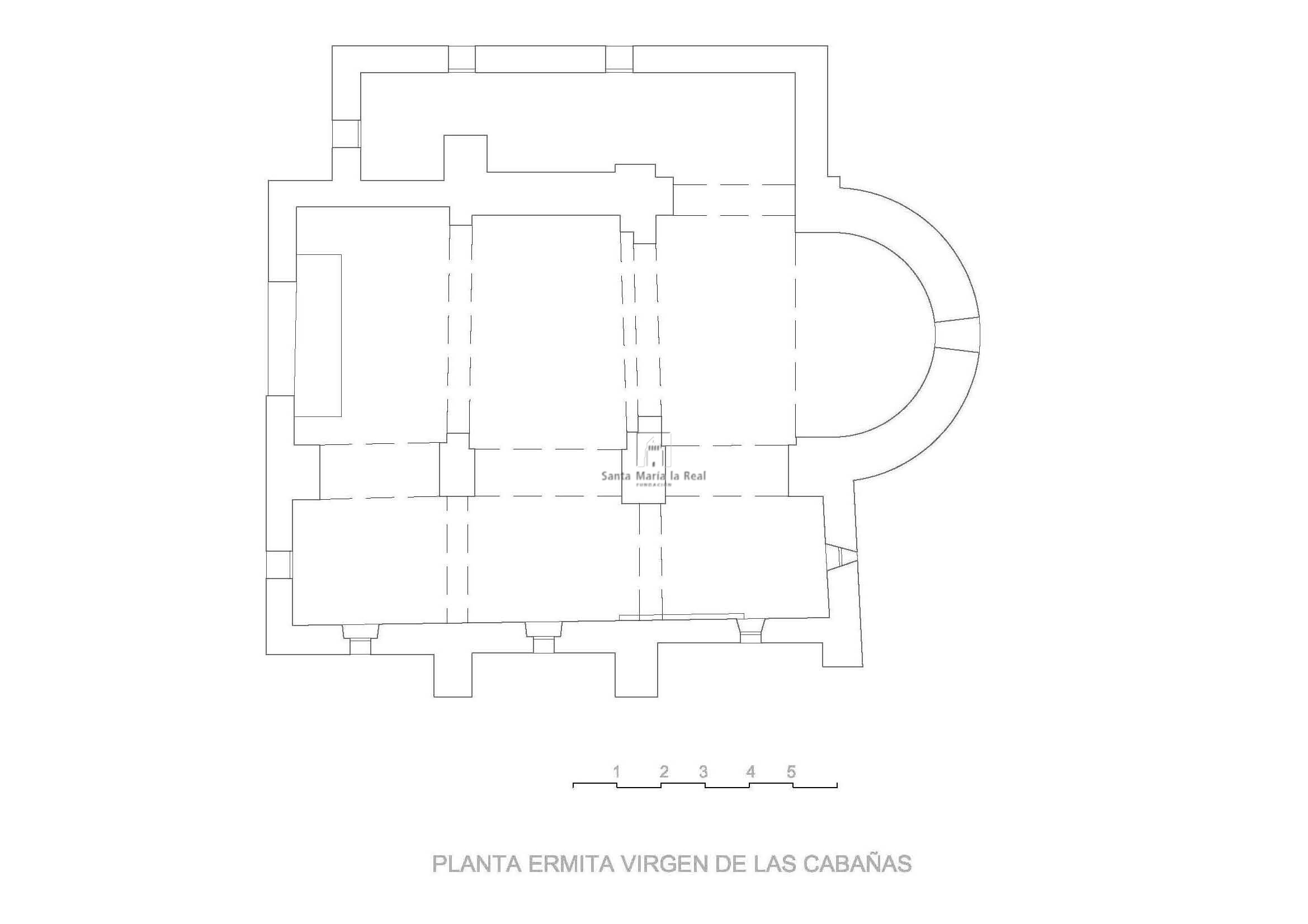 Planta