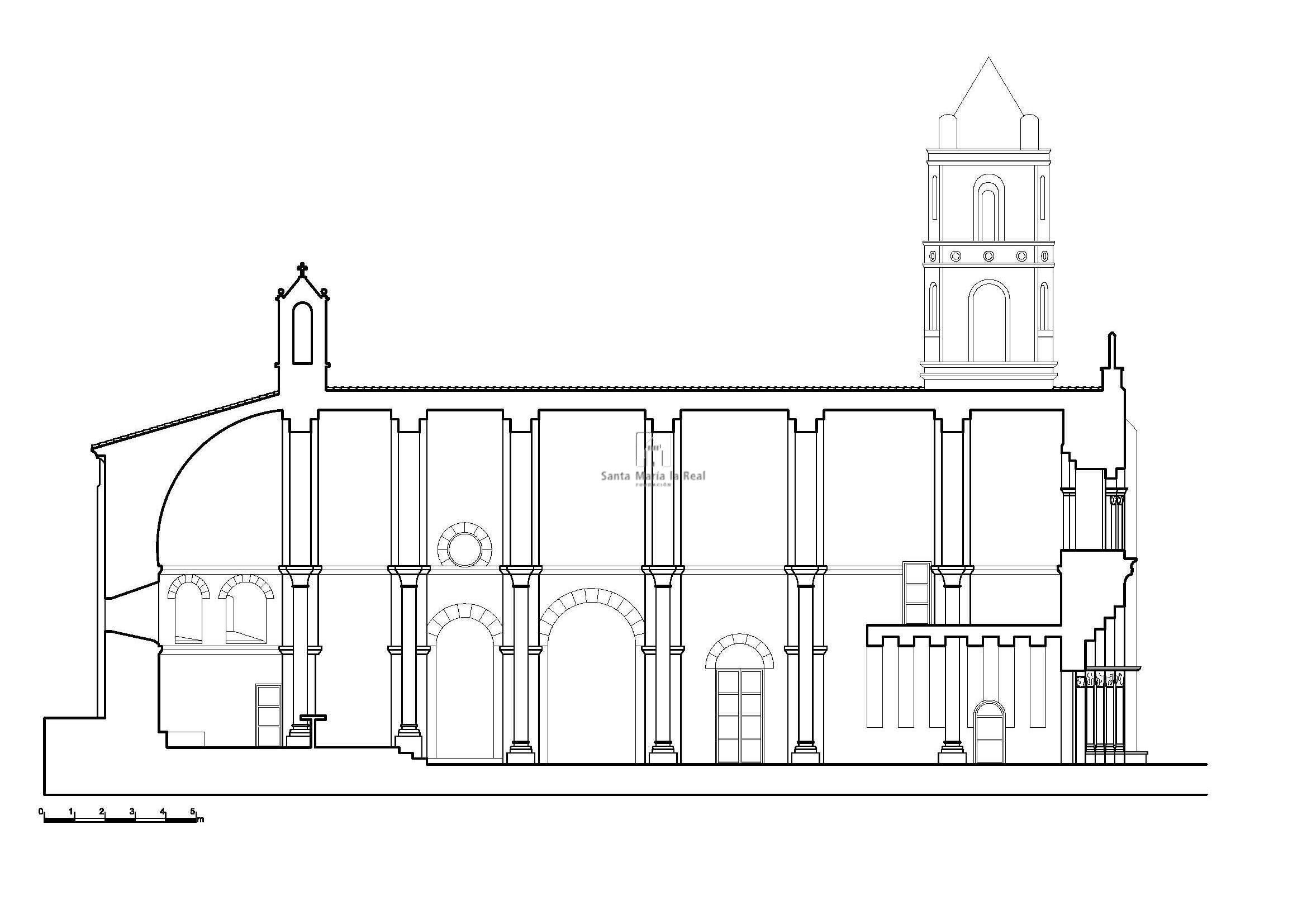 Sección longitudinal