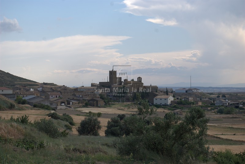 Panorámica