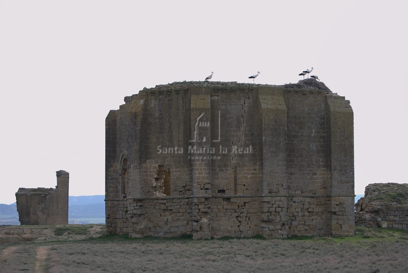 Vista del muro norte