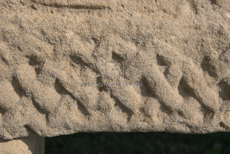 Detalle de la bese del tímpano