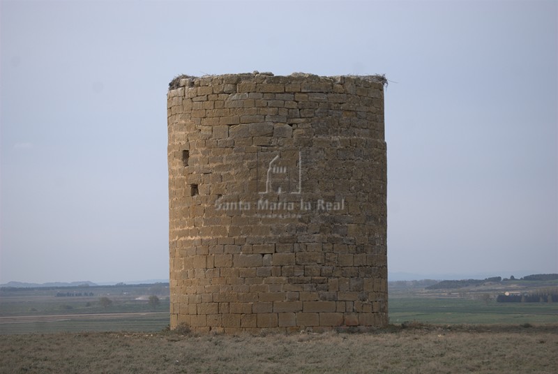 Torre meridional
