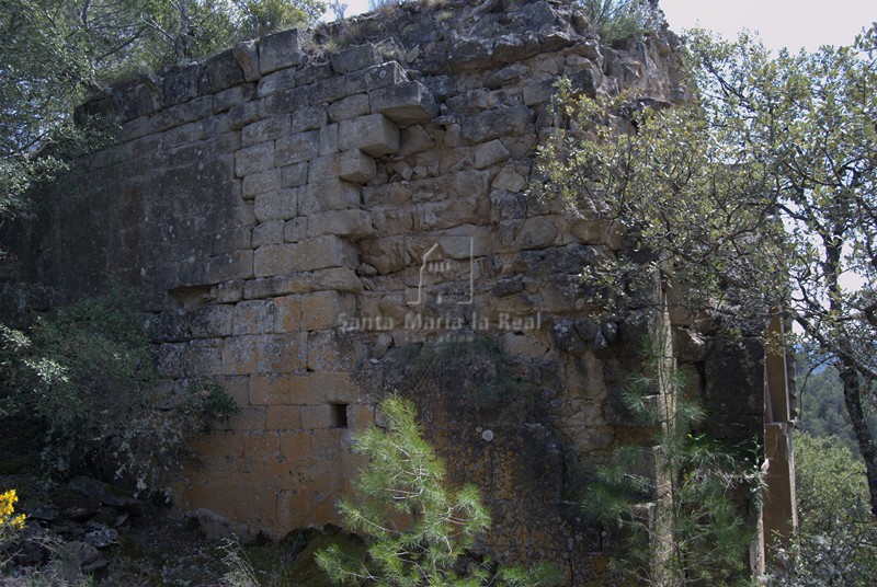 Vista del muro norte desde el exterior