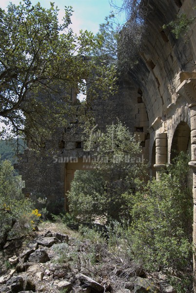 Vista del muro norte y oeste desde el interior