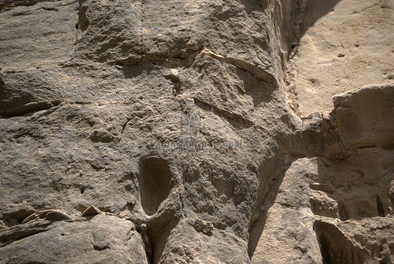 Restos de un capitel de la portada meridional