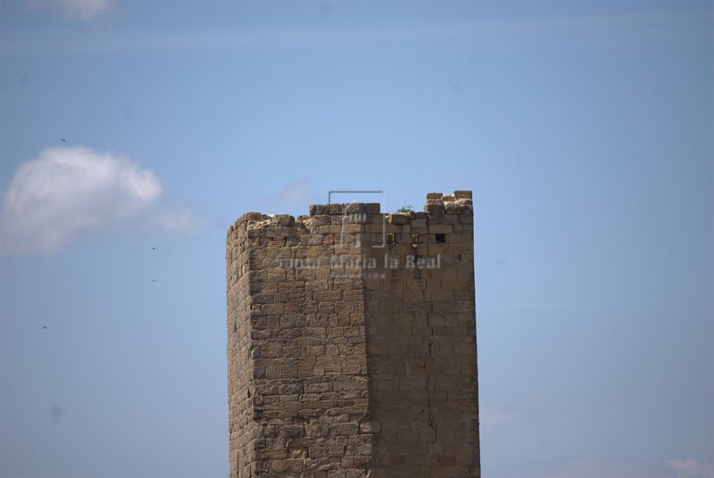 Detalle del remate de la torre