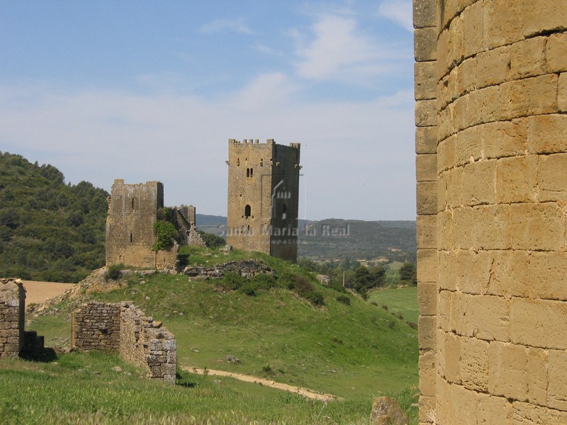 Vista del castillo