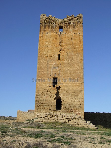 Vista del muro sur